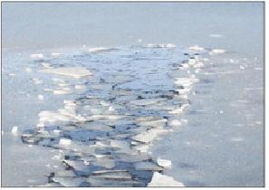 Use your head and stay off the ice until it’s thicker - Central ...