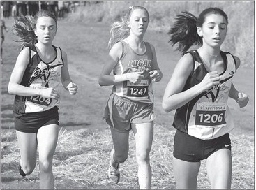 Runners finish season at sectional meet Runners finish season at sectional meet