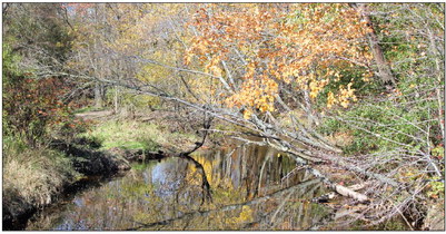 Fenwood watershed results fall short Fenwood watershed results fall short