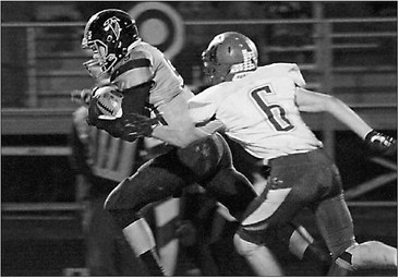Falcons are kings of the Cloverwood Falcons are kings of the Cloverwood