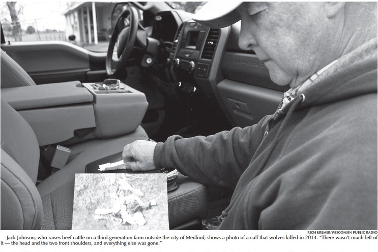 dogs, the DNR offers an …. dogs, the DNR offers an ….
