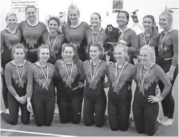 Gymnasts get season off to a hot start