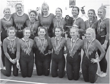 Gymnasts get season off to a hot start Gymnasts get season off to a hot start