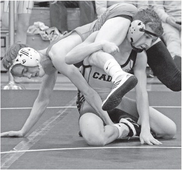 Tigers and Hornets too much for rest of the regional field at Cadott