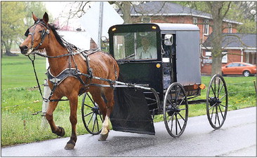Clark Co. board supports buggy registration