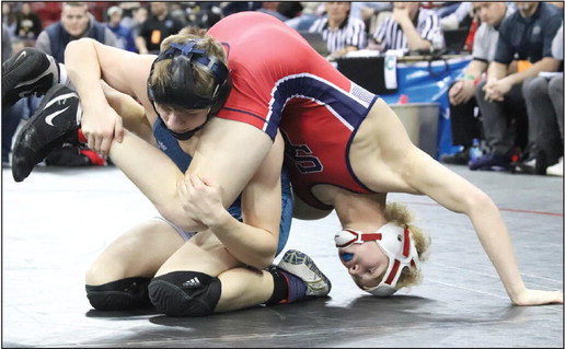 Treyton Ackman rebounds for fifth place at state meet