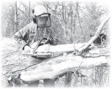 An Outdoorsman’s  Journal