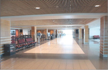 COVID-19 cuts  Mosinee airport passenger counts, revenue