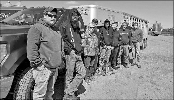 Donated hogs to feed the needy Donated hogs to feed the needy