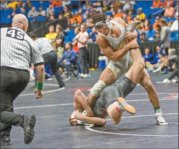 Loyal’s Buchanan proving he belongs among NCAA elite Loyal’s Buchanan proving he belongs among NCAA elite