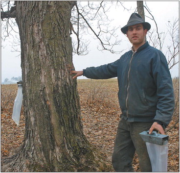 Double L Acres near Curtiss turns sap into syrup Double L Acres near Curtiss turns sap into syrup