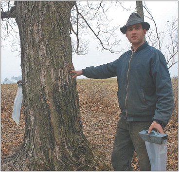 Double L Acres near Curtiss turns sap into syrup