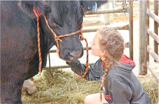 Pieces come together to make 39th Annual  Market Animal Show and Sale a success