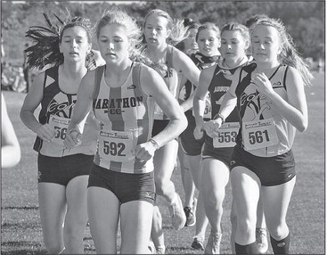 Cross-country off to blistering start