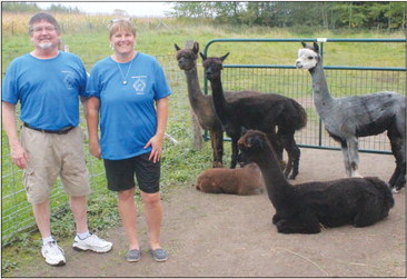 Local alpaca owners invite guests to Heavenly Acres
