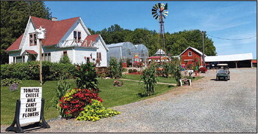 Local business plans pet walk to support Marshfield pet shelter Local business plans pet walk to support Marshfield pet shelter
