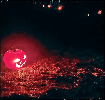 Haunted Trail delivers scares and screams Haunted Trail delivers scares and screams
