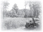 An Outdoorsman’s Journal An Outdoorsman’s Journal