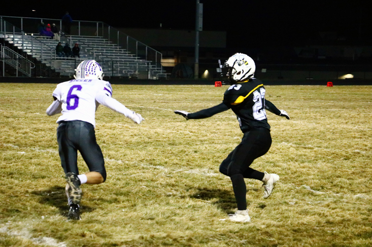 Hornets stung by Mosinee