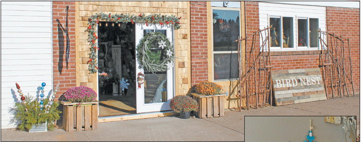 The Bird Nest brings business to Holcombe The Bird Nest brings business to Holcombe