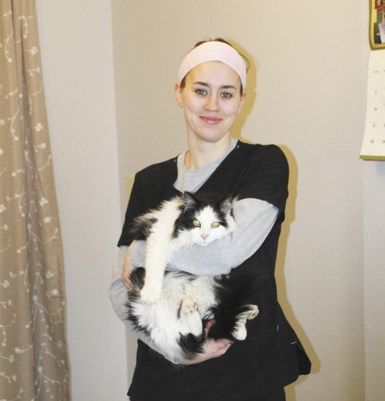 Cornell pet spa open and ready to serve furry friends