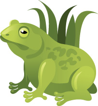 Spring frog/toad activity good time to use ears