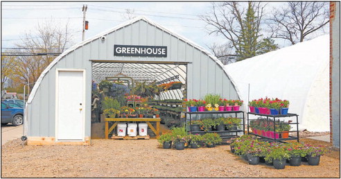 Hardware store greenhouse something different in city Hardware store greenhouse something different in city
