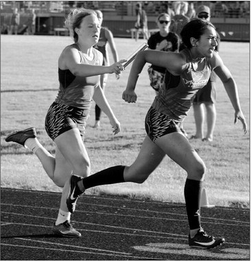 Falcons send 9 athletes to D-3 sectional