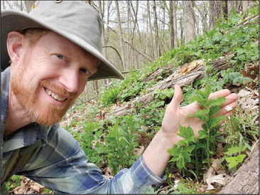 DNR biologist finds ‘holy grail’ rare plant in state natural area