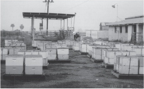 Three generations of beekeepers live the sweet life Three generations of beekeepers live the sweet life