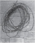 Connections Connections