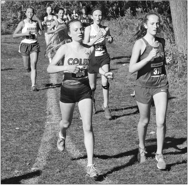 Harriers hold their own against top teams