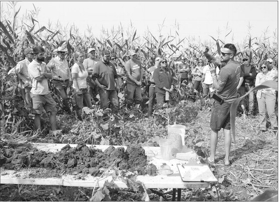 Wider corn rows researched