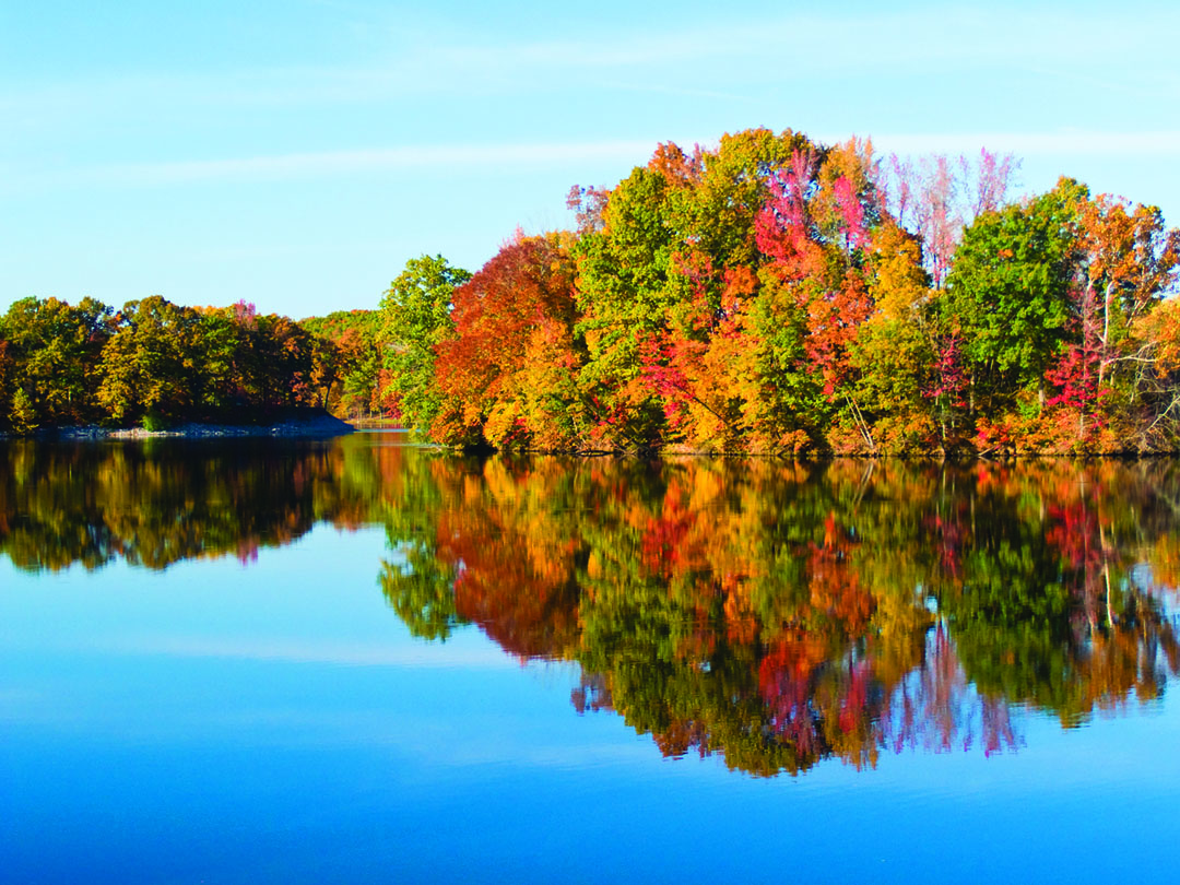Find ways to explore the state’s colorful fall foliage
