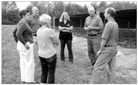 Ginseng trade help is sought