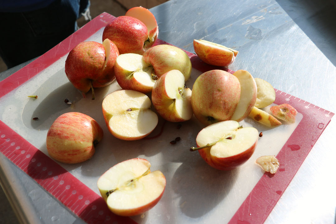 Cider promises to be a new staple for Holcombe events
