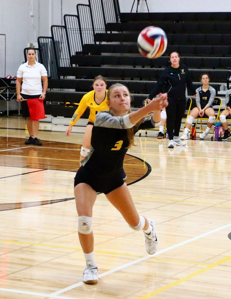 Hornets rack up wins in home invitational