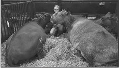 LHS Agriculture Department/FFA off to its usual busy start