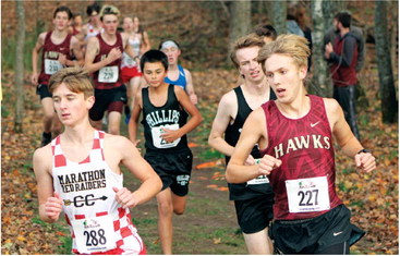 Granberg, Goodrich lead the  Hawks at Marawood CC meet