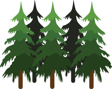 Wisconsin working forests celebrated for their roles