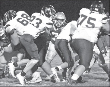 Hornets win border battle with Falcons Hornets win border battle with Falcons