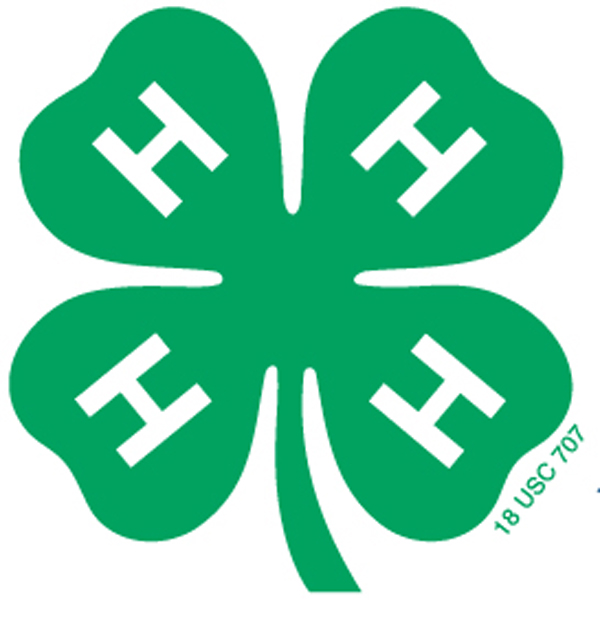 4-H wants to see your art