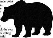Bear harvest returns to average at season’s end