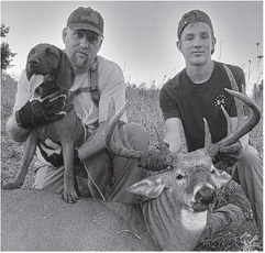 Bavarian hounds are part of hunting stories Bavarian hounds are part of hunting stories