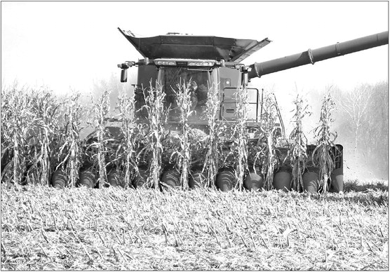 Bountiful crop yields this year