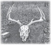 An Outdoorsman’s Journal