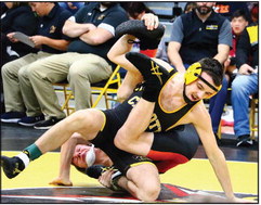 Hornets crowned champions at home tournament