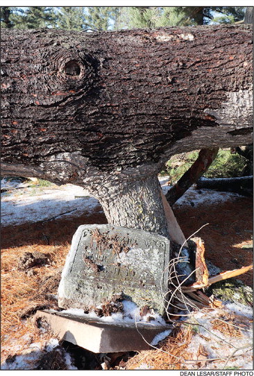 Heavy wind damage in Greenwood cemetery
