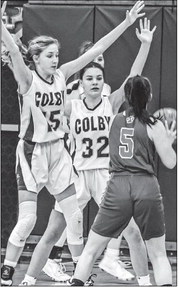 Hornets drop Bulldogs Hornets drop Bulldogs