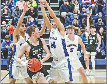 Hornets fall in regional title tilt Hornets fall in regional title tilt